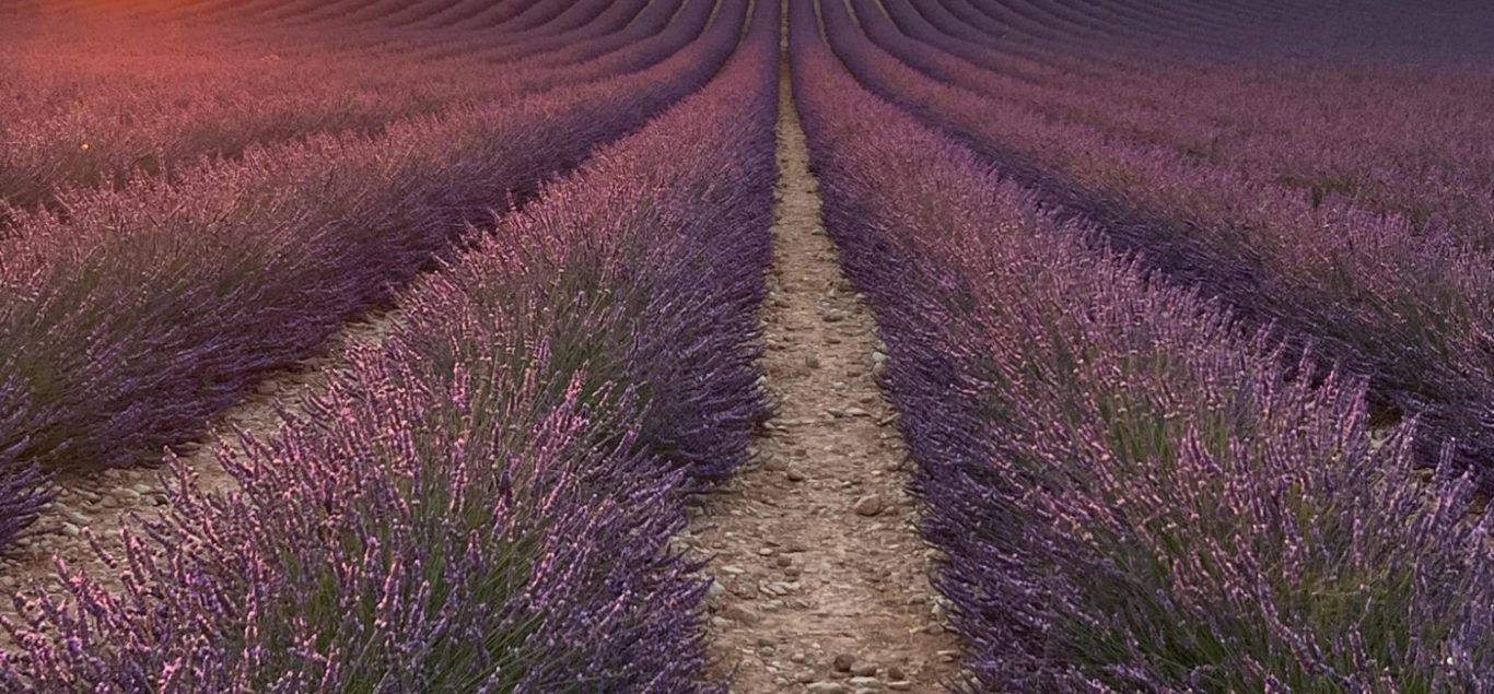 LEARNING FRENCH IN PROVENCE LEARNING WITH FRANCI DISCENDUM